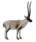 Figura Antilope Tibetana – Chiru - (L)