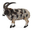 Figurine Mouton Jacob - (L)