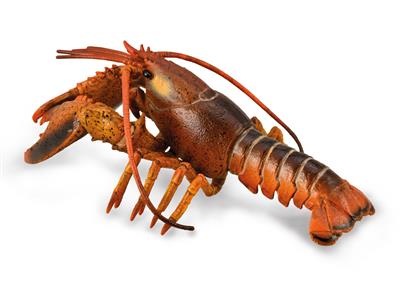 Figura de animal marino de lujo - Langosta