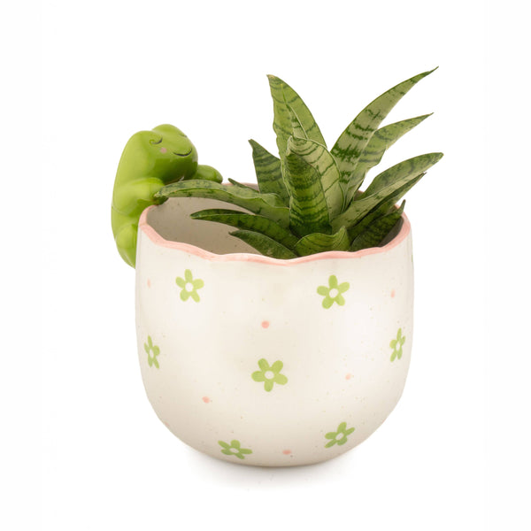 Jardinière Grenouille Espiègle