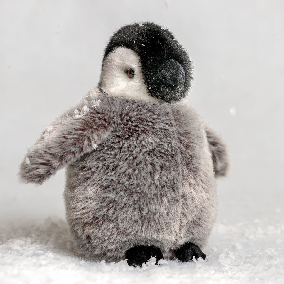 Kaiserpinguin