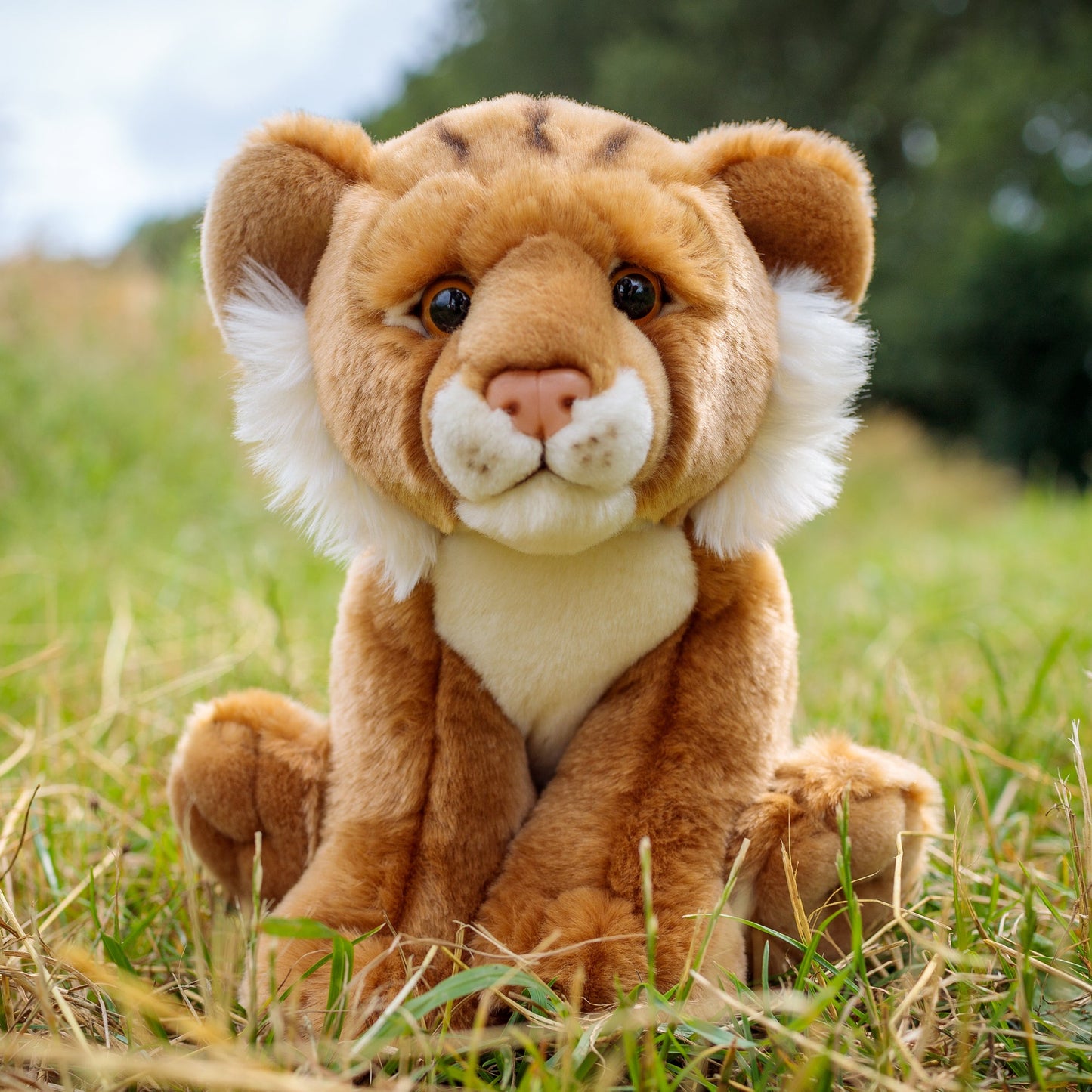 ANIMIGOS LE MONDE DE LA NATURE LIONCEAU