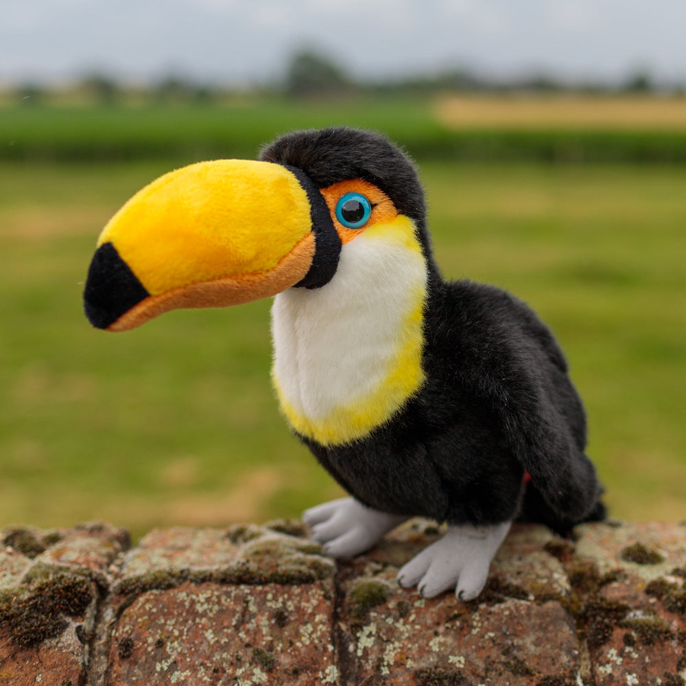 Peluche Animigos Toucan