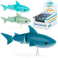 WIND-UP SHARK