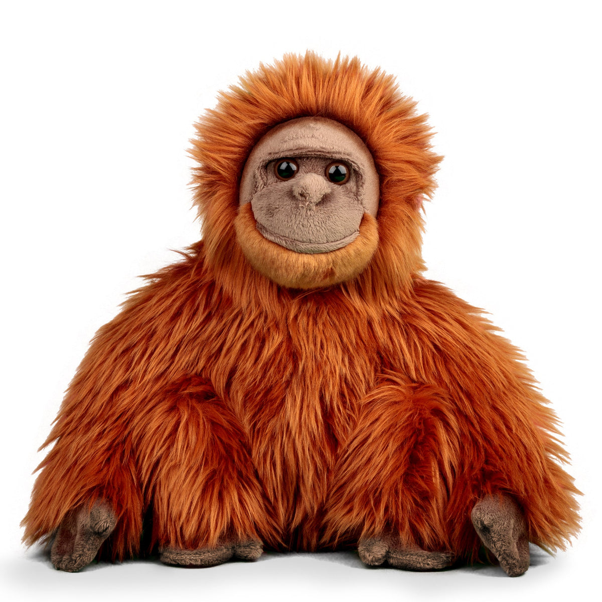 Orang-Utan