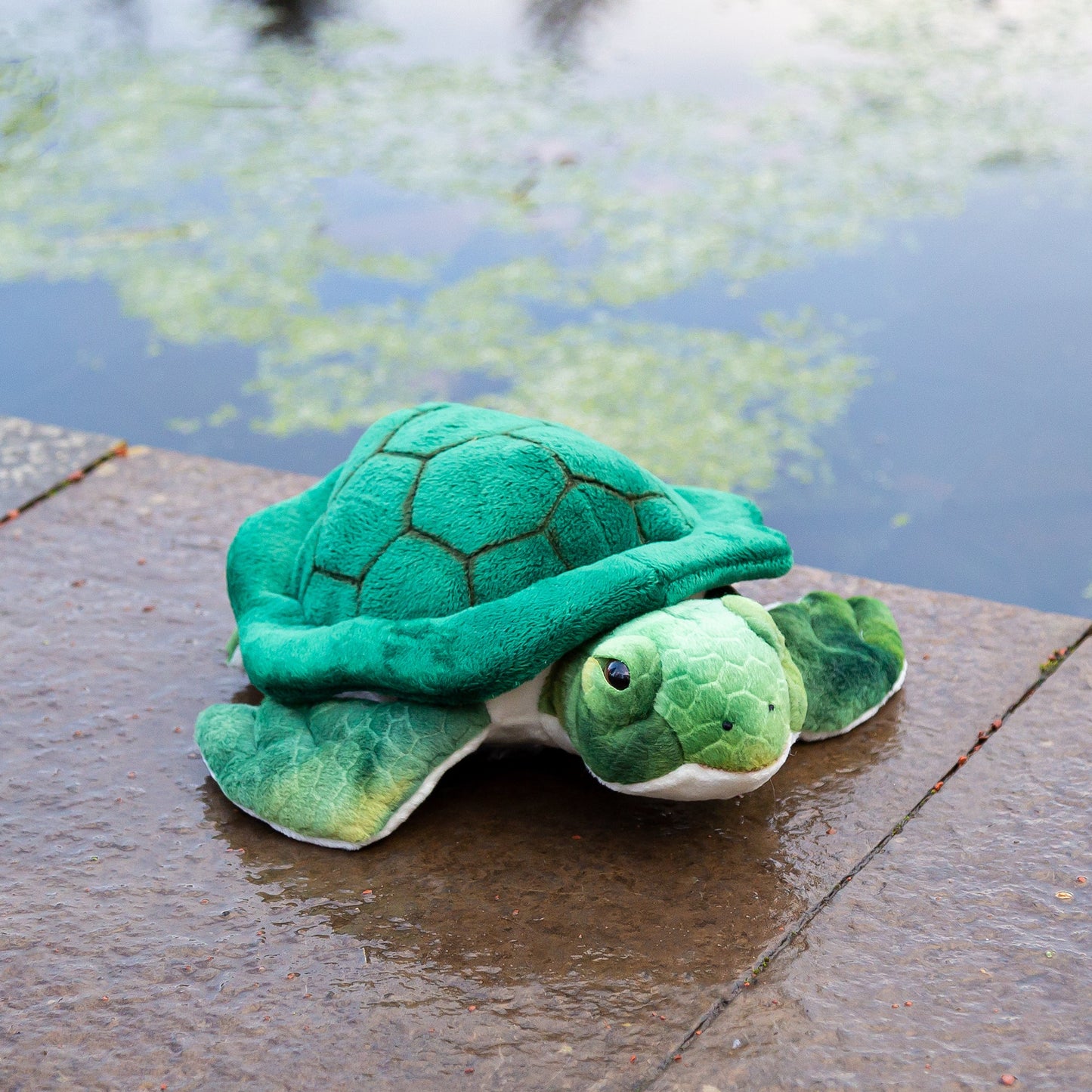 ANIMIGOS MONDE DE LA NATURE TORTUE