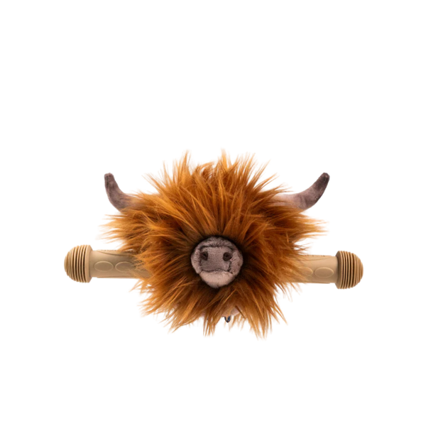 Accessoire tête de vache Highland pour vélo ou trottinette enfant - Wild & Soft
