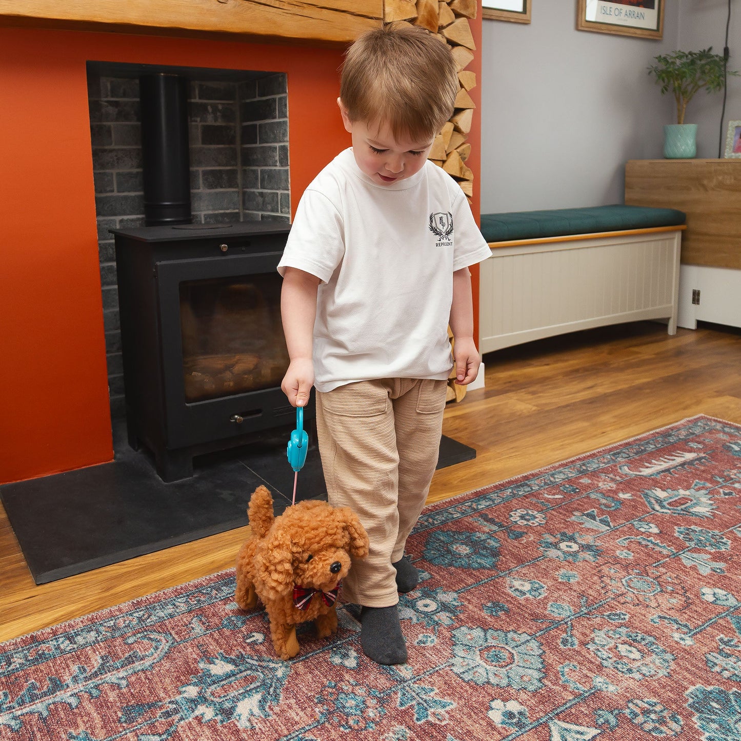 ANIMIGOS COCKAPOO BOUCLÉ