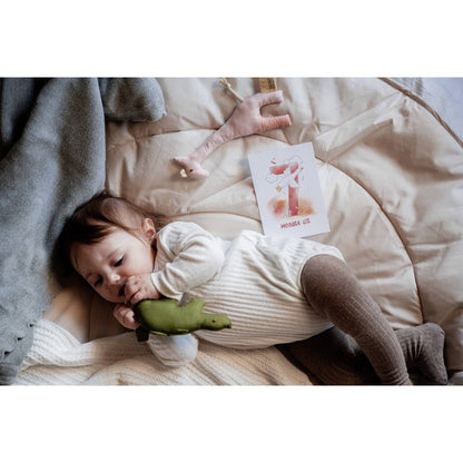 Baby milestone cards (16 pieces)