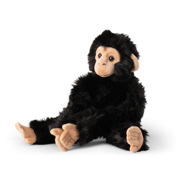 ANIMIGOS MONDE DE LA NATURE CHIMPANZÉ SUSPENDU