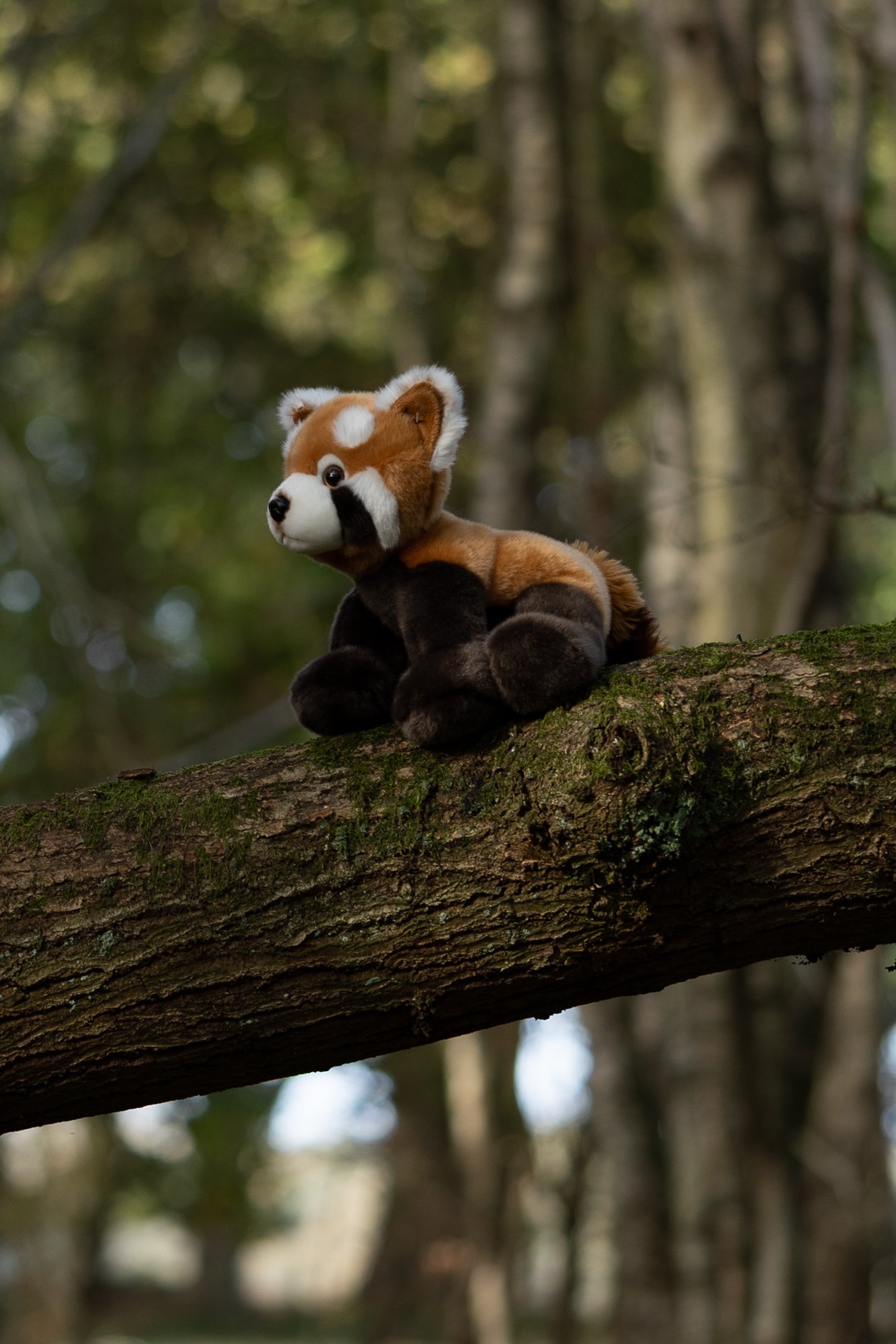 ANIMIGOS MONDE DE LA NATURE PANDA ROUGE