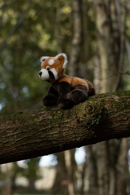 ANIMIGOS MONDE DE LA NATURE PANDA ROUGE