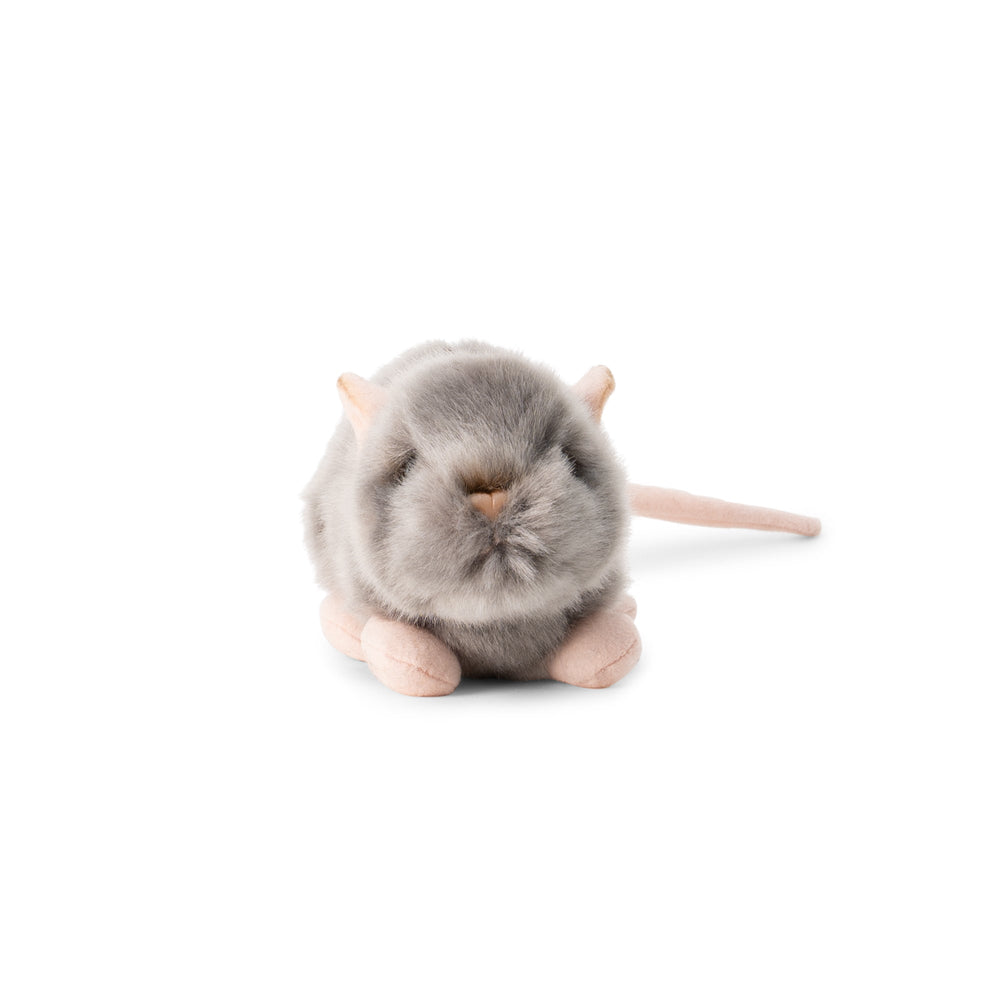 アニミゴス　野生動物の世界　叫ぶネズミ