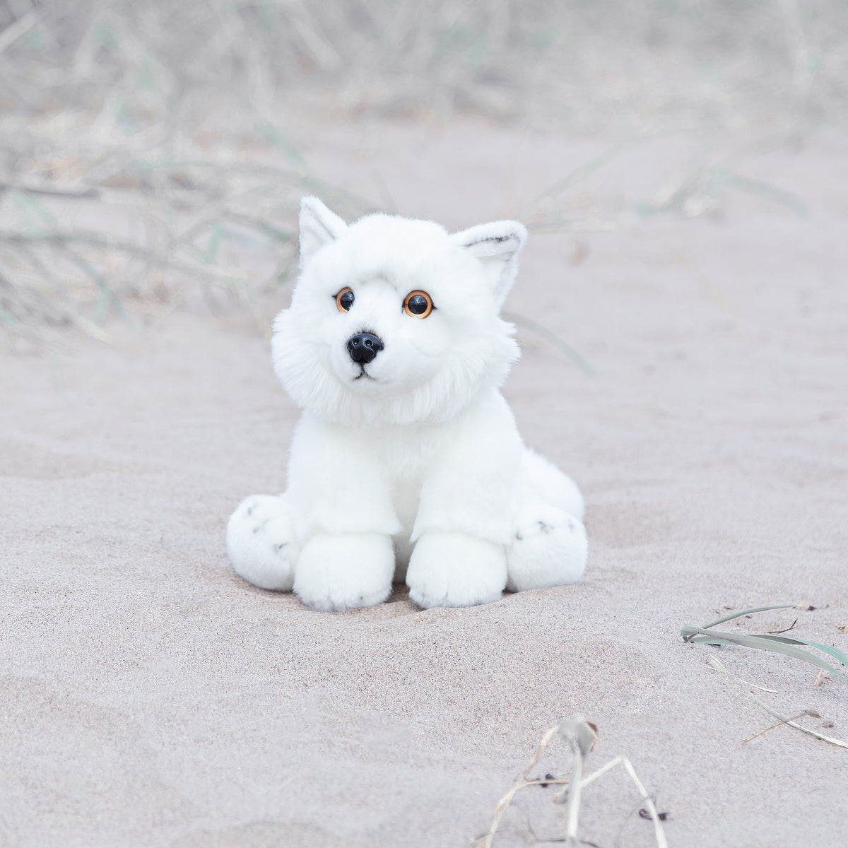 Polarfuchs