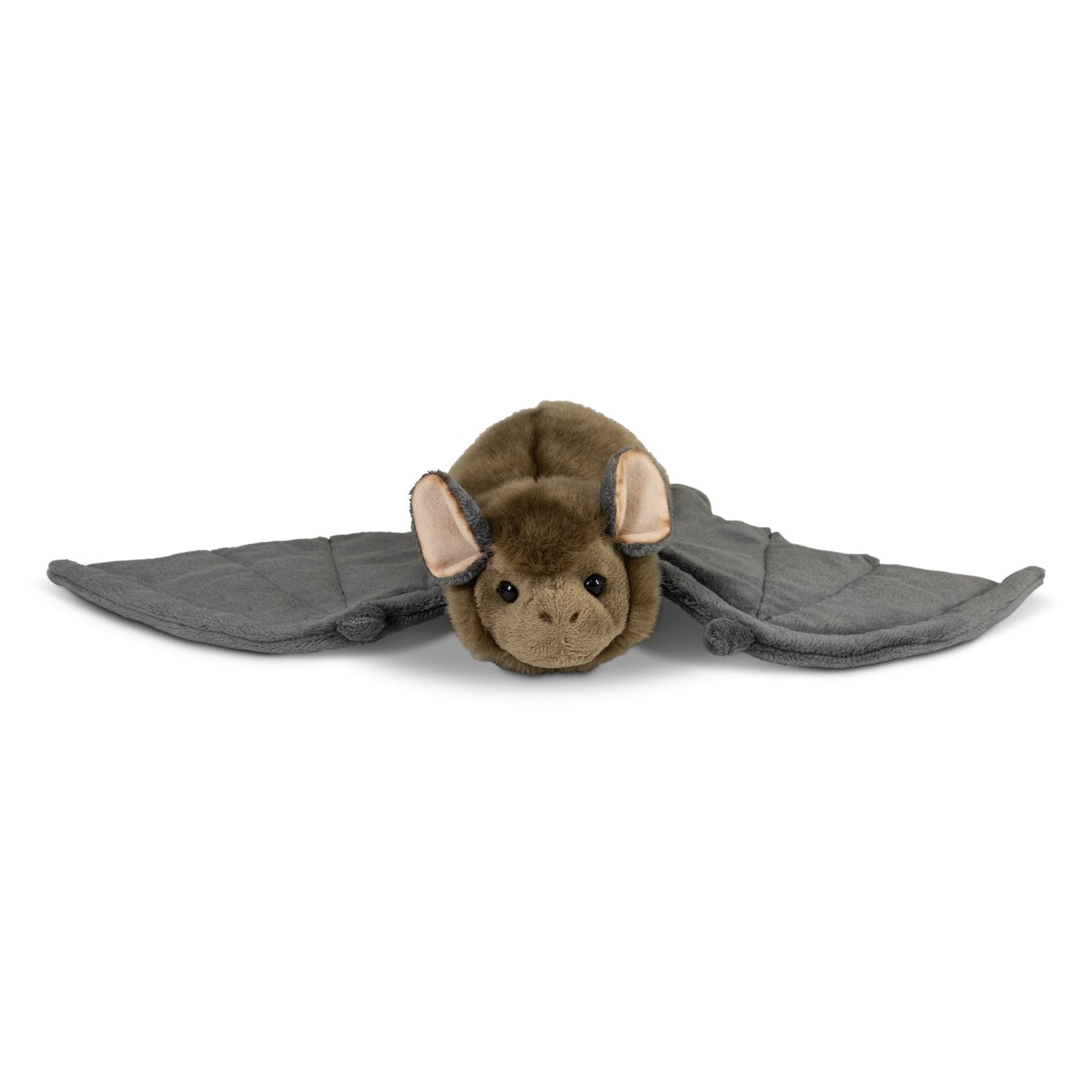 ANIMIGOS MONDE DE LA NATURE CHAUVE-SOURIS