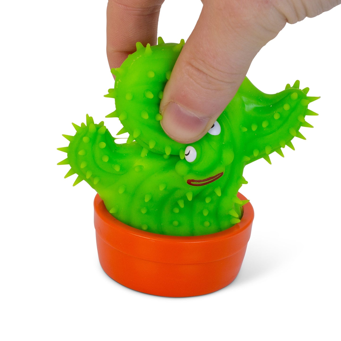SCRUNCHEMS ÉTIRE UN CACTUS COOL