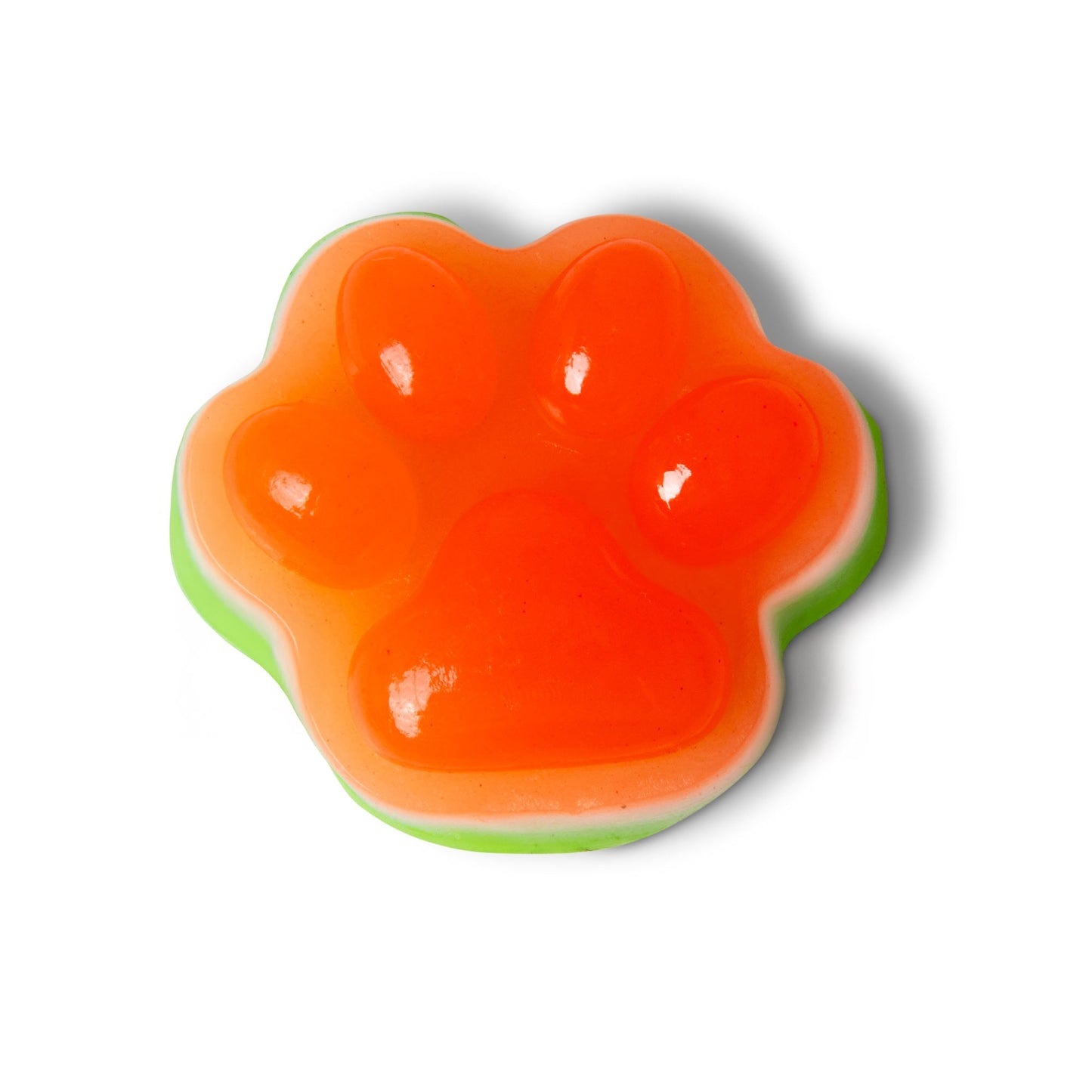 SCRUNCHEMS EMPREINTES DE PATTES COLLANTES ET SQUISHY