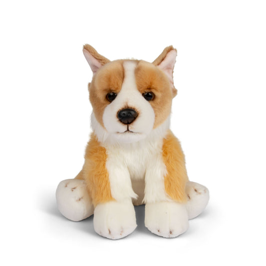 アニミゴス ワールドオブネイチャー コーギー 30CM