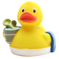 Sauna de pato