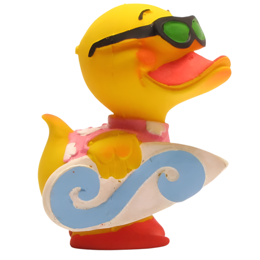 Anatra surfista