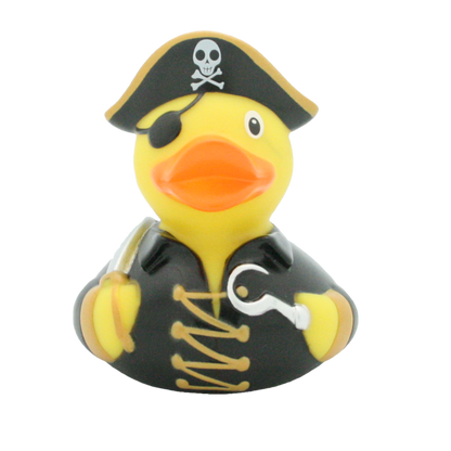 Pirate duck