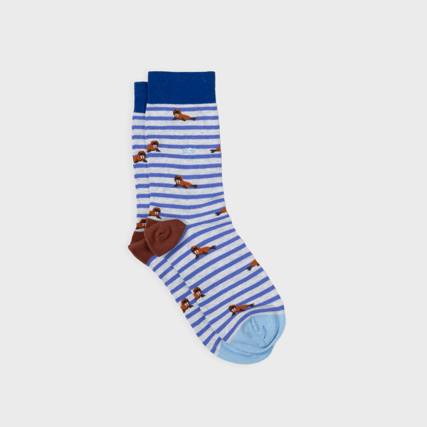 Calcetines de algodón peinado con forma de animal - Morsa