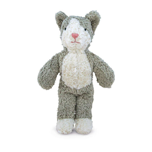 Animal Bébé Chat