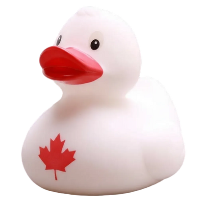 Canadian Duck