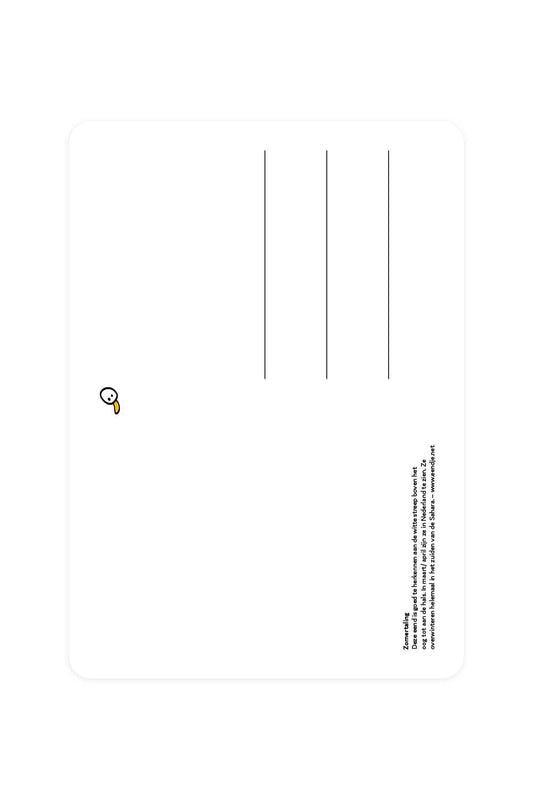 postal azul turquesa