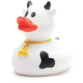 Canard Vache Noire et Blanche