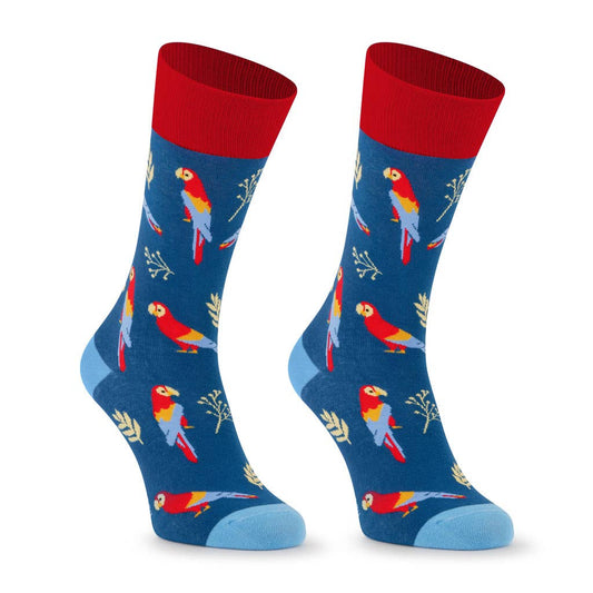 Chaussettes Perroquets « LOROS »