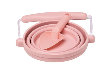 Maceta de plántula de rosa vieja Pelle