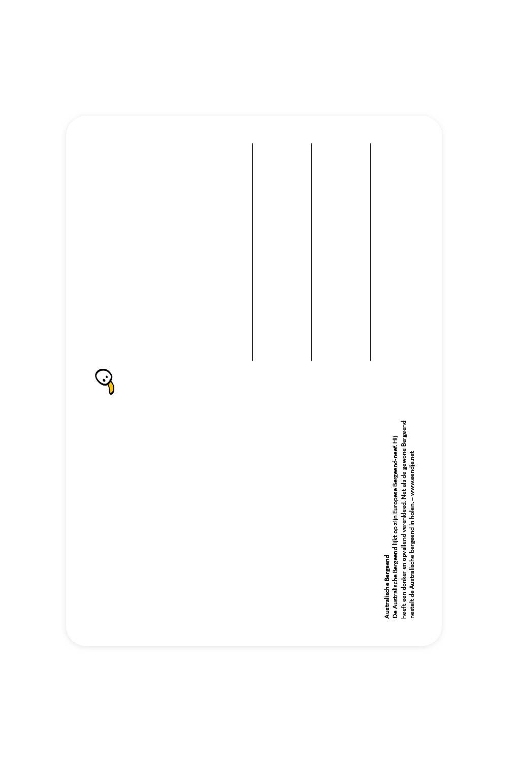 Carte postale avec Shelduck australien