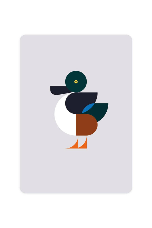 Carte postale avec Shoveler