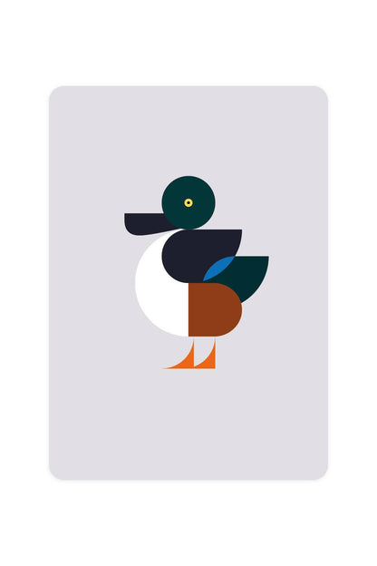 Postcard with Shoveler