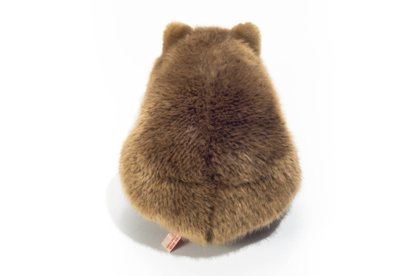 Peluche Wombat