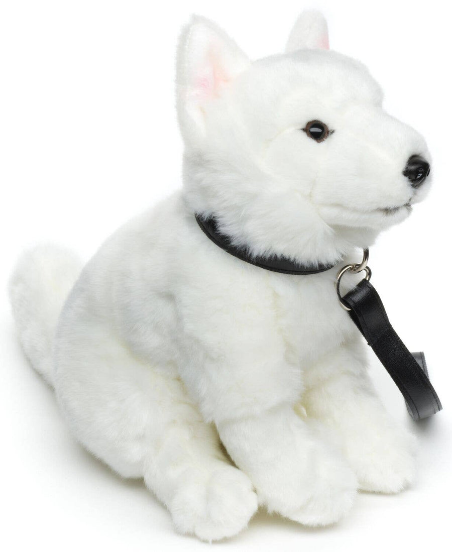 Weisser Schweizer Schäferhund