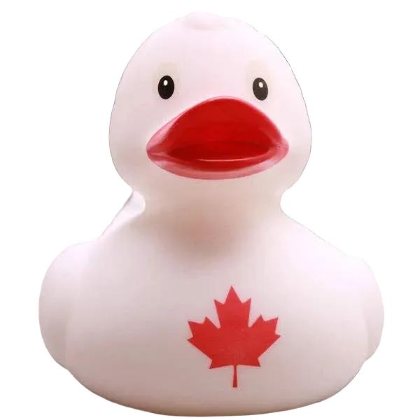 Pato do Canadá