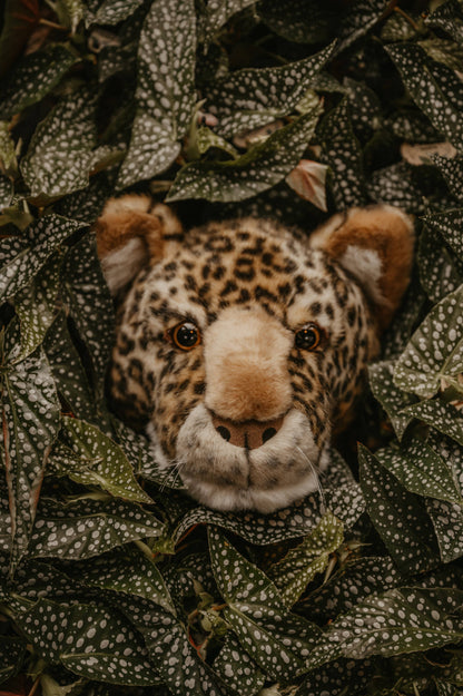 Charlie le Léopard : Déco murale - Tête moyenne - Wild & Soft