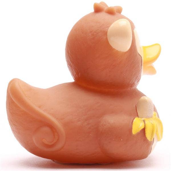 Canard singe