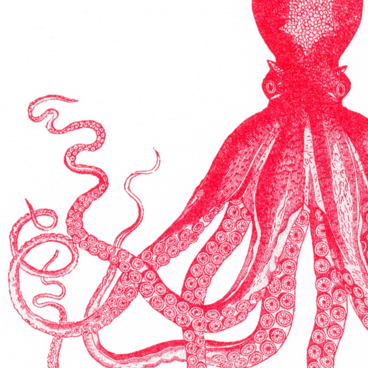Postal de polvo vermelho