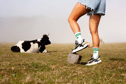 Chaussettes Lucky Socks