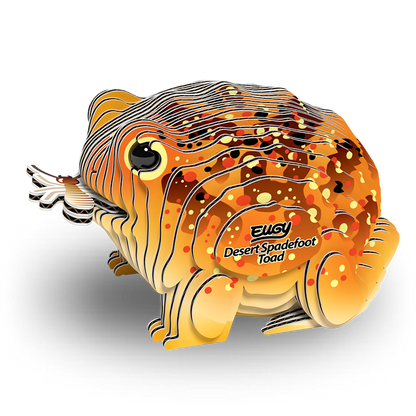 eugy 117 desert spadefoot toad