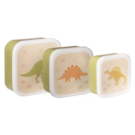Dinosaur Desert Lunch Boxes - Set of 3
