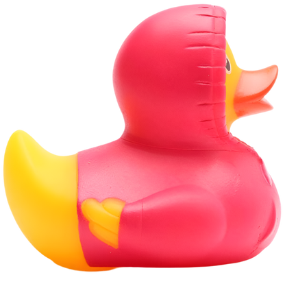 Canard Sweat à Capuche - Rose