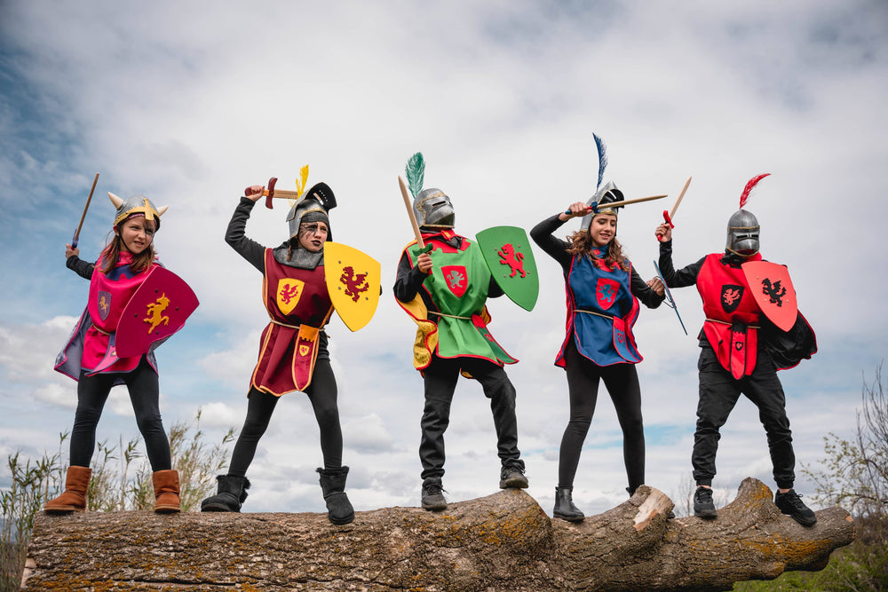 Bouclier Historique Viking Triskel L