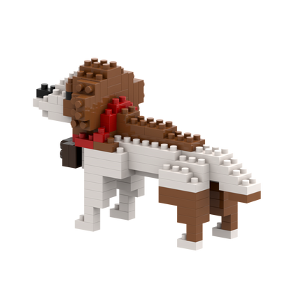 Brixies Saint Bernard