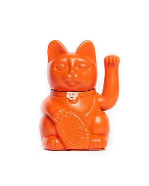 Gatto arancione fortunato