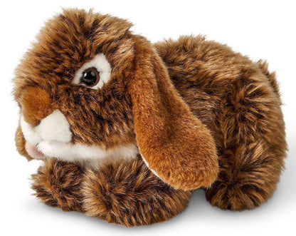 Peluche Lapin Bélier Couché - Marron