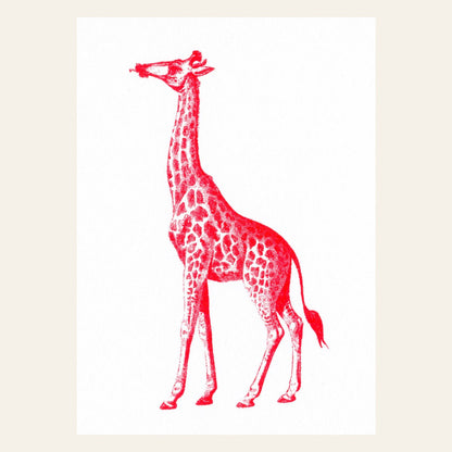 Carte postale Girafe Rouge